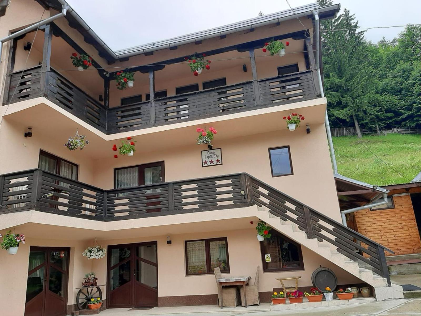 Lip Si Ely Hotel Dimbovicioara Luaran gambar