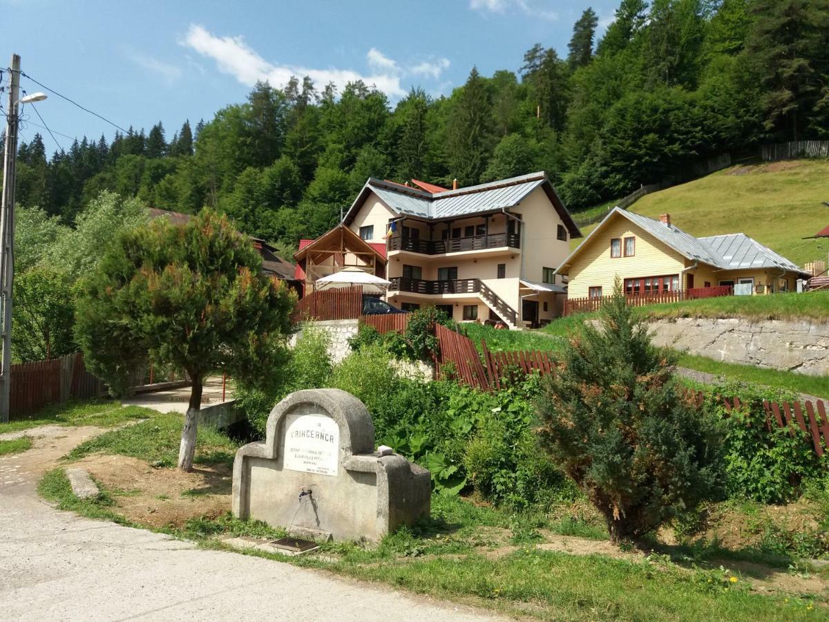 Lip Si Ely Hotel Dimbovicioara Luaran gambar