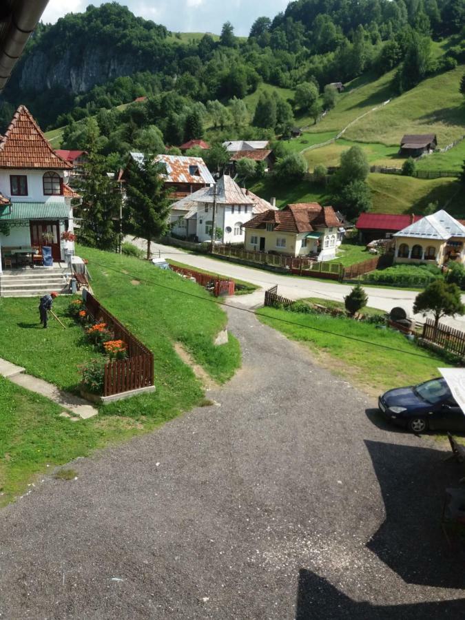 Lip Si Ely Hotel Dimbovicioara Luaran gambar