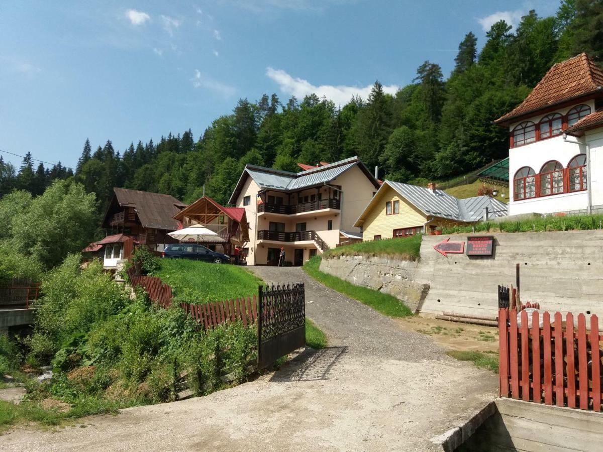 Lip Si Ely Hotel Dimbovicioara Luaran gambar