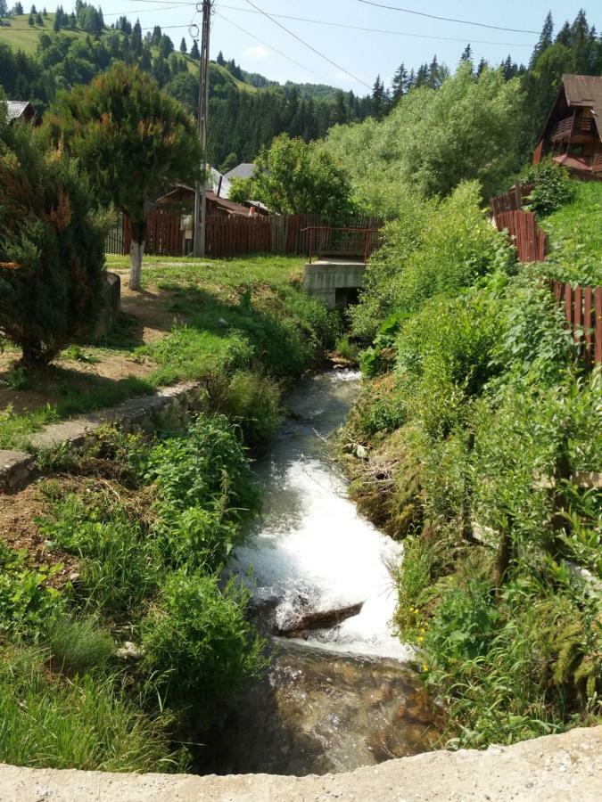 Lip Si Ely Hotel Dimbovicioara Luaran gambar