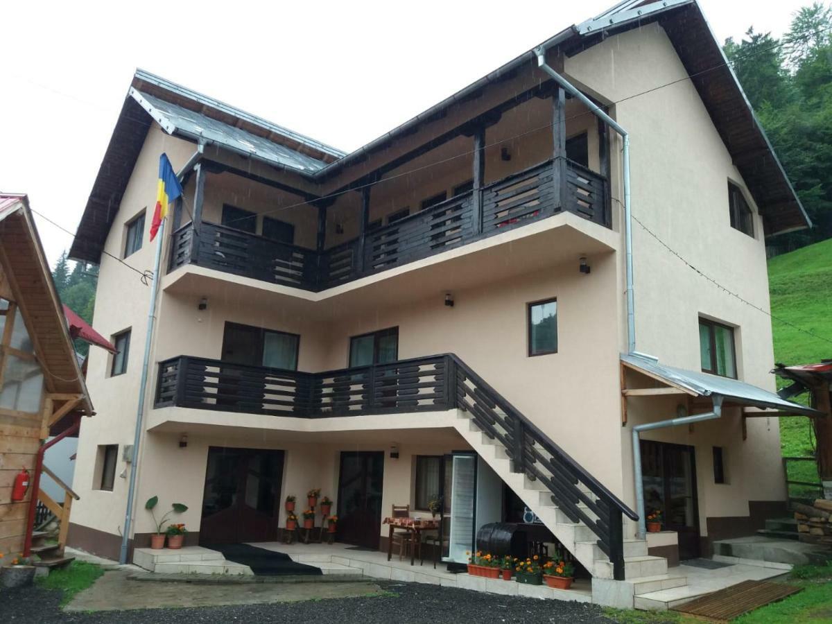Lip Si Ely Hotel Dimbovicioara Luaran gambar