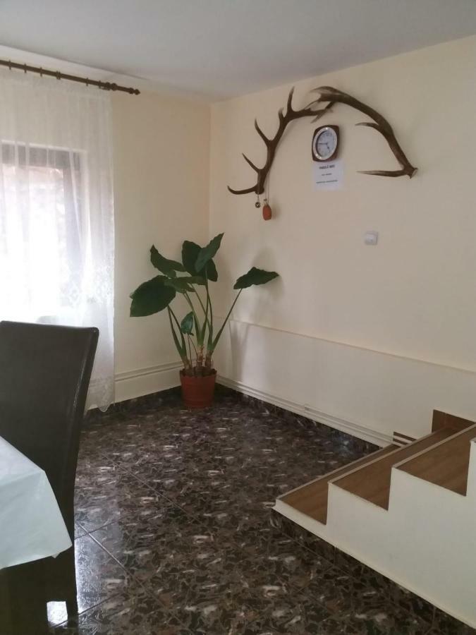 Lip Si Ely Hotel Dimbovicioara Luaran gambar